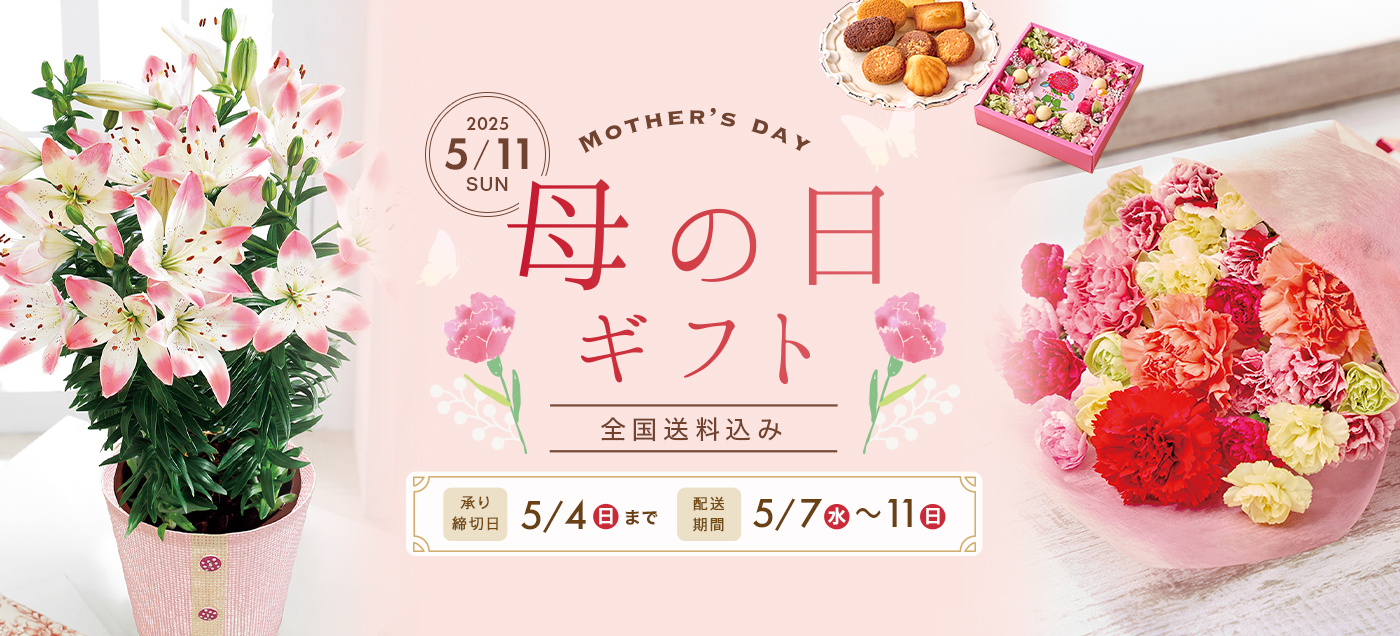 /LP/2025mothersday/assets/images/2025mothersday_slide_pc.jpg